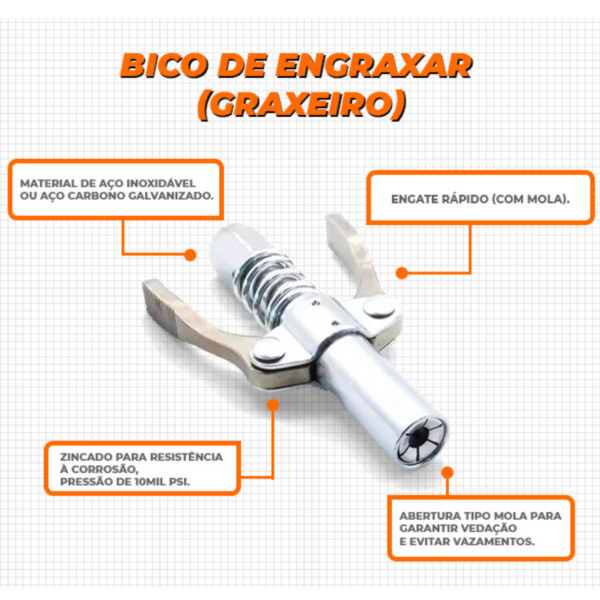 Bico de Engraxar (Graxeiro)